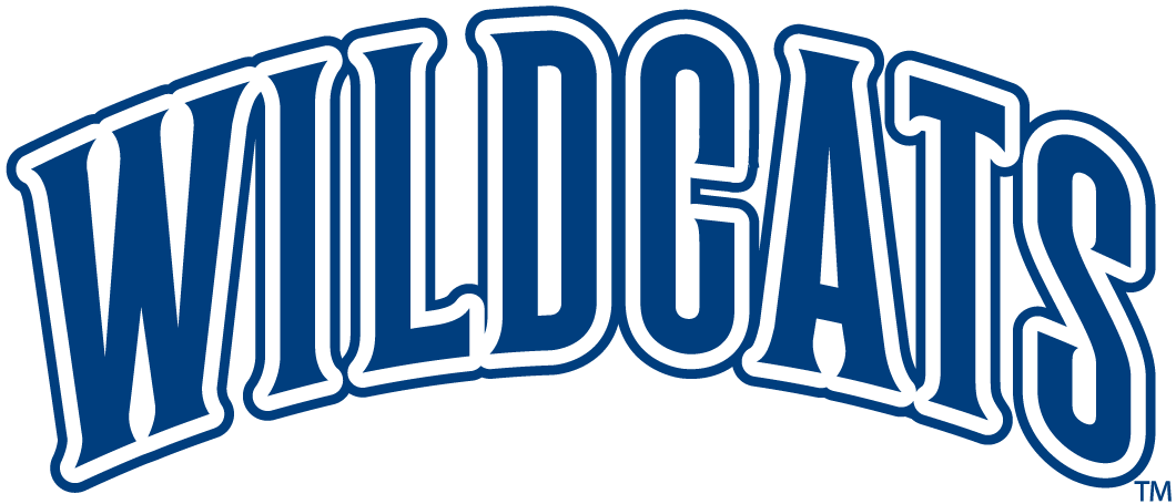 Villanova Wildcats 1996-Pres Wordmark Logo t shirts DIY iron ons